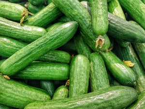 Organic cucumbers