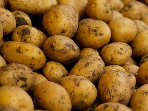 Organic potatoes