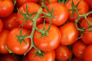 Fresh organic tomatoes